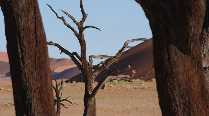 8 - Travel in Namibia: Like Walking on Mars