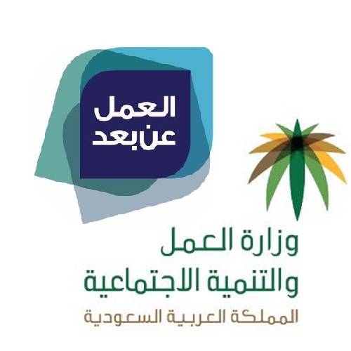 وزارة العمل والتنمية الاجتماعية بالسعودية - وظائف إدارية للجنسين يطرحها برنامج العمل عن بعد