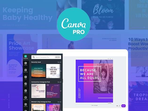 طريقة الحصول على حساب Canva Pro بالمجان ولمدة سنة كاملة!