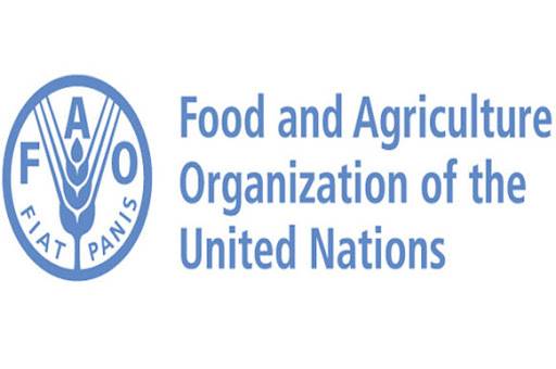 منظمة الأغذية والزراعة للأمم المتحدة توفر وظيفة شاغرة بالرياض
